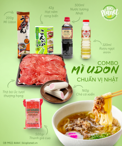 Combo Udon