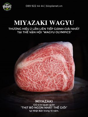 Miyazaki Wagyu