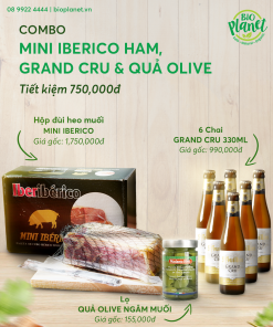 Web Iberico Bia Olive